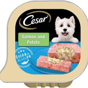 Cesar Adult Wet Dog Food – Salmon & Potato (24g)