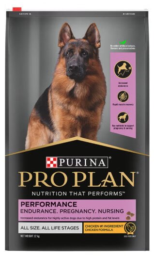 PURINA Pro Plan Performance Dry Dog Food for All Life Stages, Chicken – (12kg)