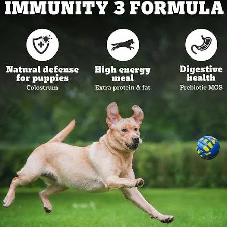 Pedigree PRO Mother & Pup Starter Large Breed Dry Dog Food (1.2kg) - Image 2